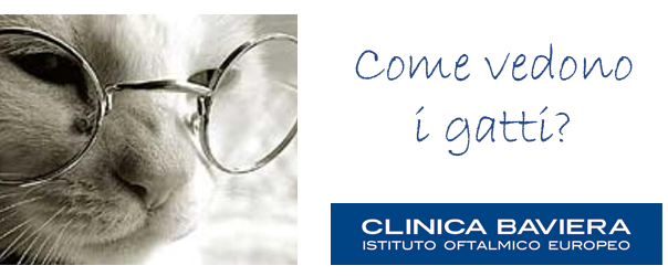 vista gatti Clinica Baviera