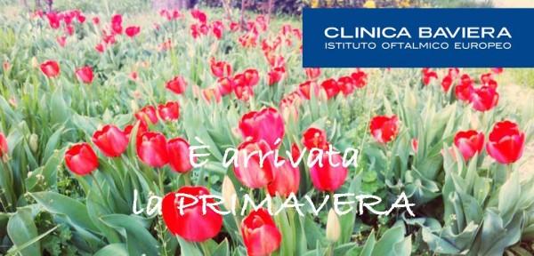 primavera