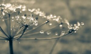 visione offuscata foto gravidanza
