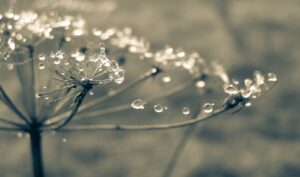 visione offuscata foto gravidanza