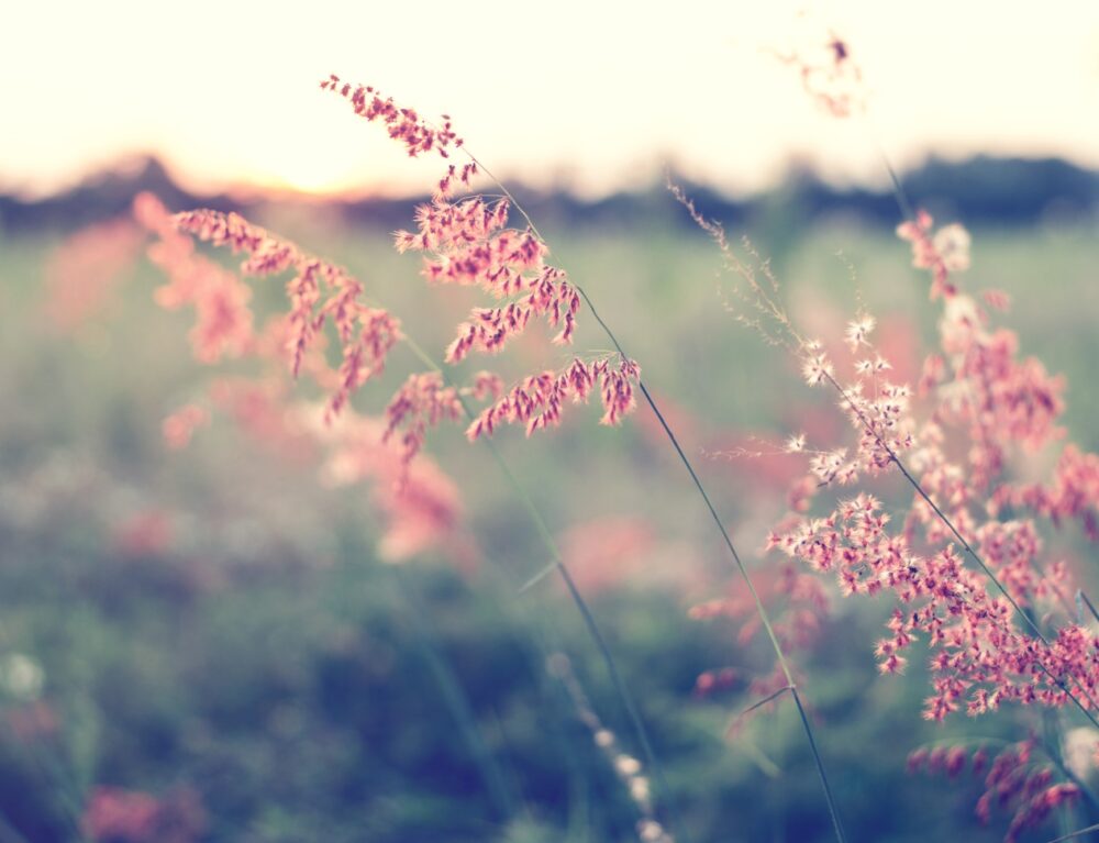 Allergie oculari: come prendersi cura degli occhi in primavera?