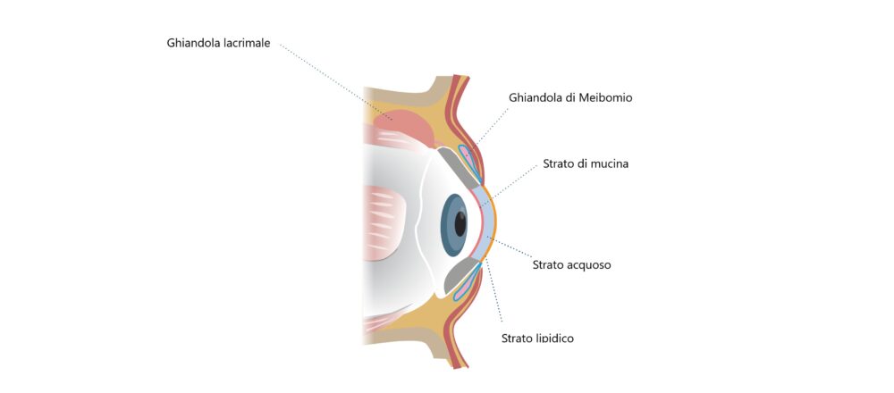 Ghiandola lacrimale