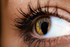 Cos’è il coloboma?