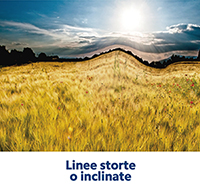 linee_storte