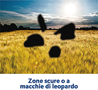 macchia_leopardo_campo_visivo