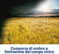 ombre_campo_visivo